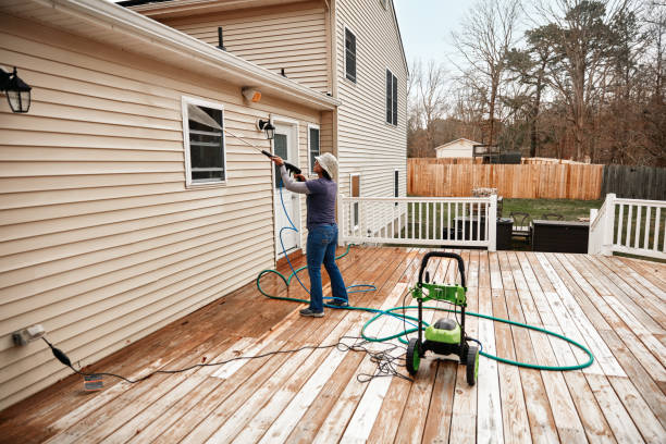 Best Roof Pressure Washing  in Norwich, NY