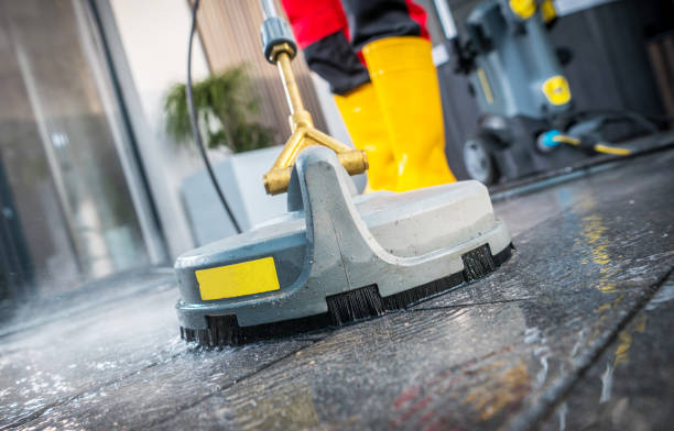 Best House Pressure Washing  in Norwich, NY