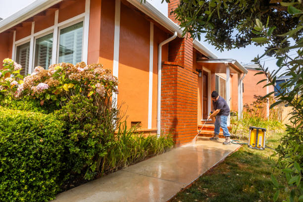 Best Pressure Washing Patio  in Norwich, NY