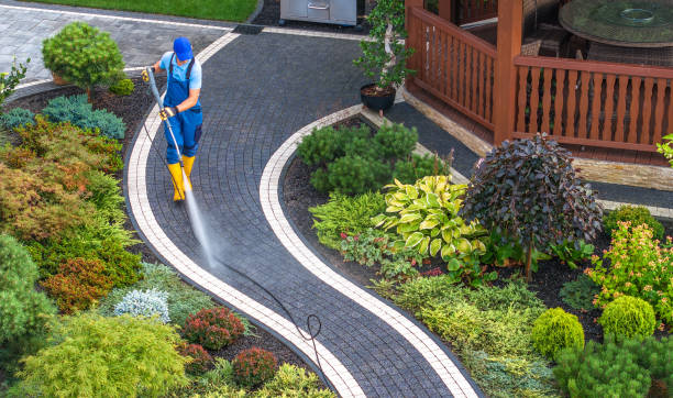 Best Exterior Home Cleaning  in Norwich, NY