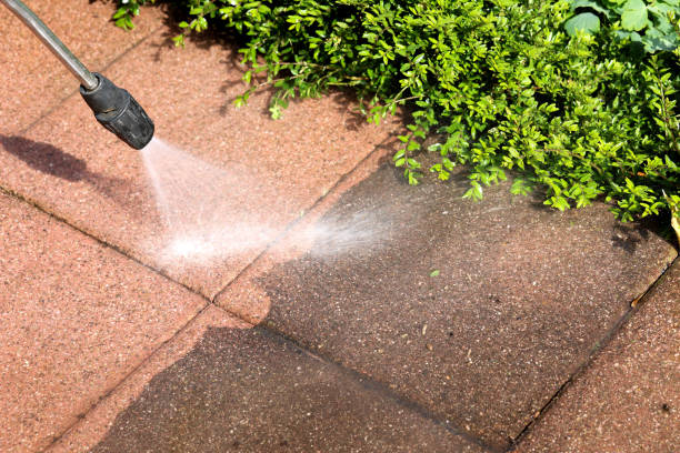 Best Fence Pressure Washing  in Norwich, NY