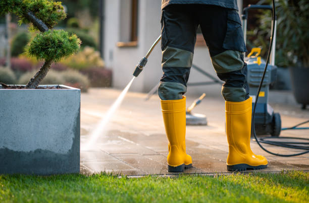 Best Pressure Washing Company Near Me  in Norwich, NY